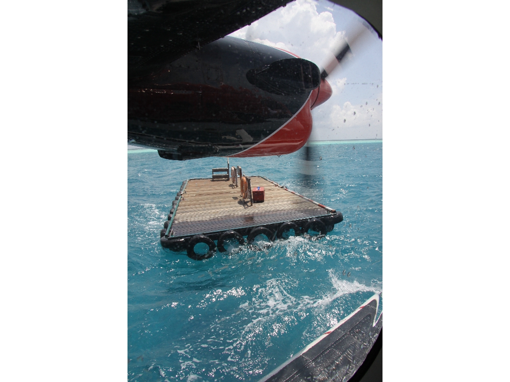 2010-10-17 07-33-34 - Maldives 2010 IMG_5776 2010-10-17 07-33-34 - Maldives 2010 IMG_5776